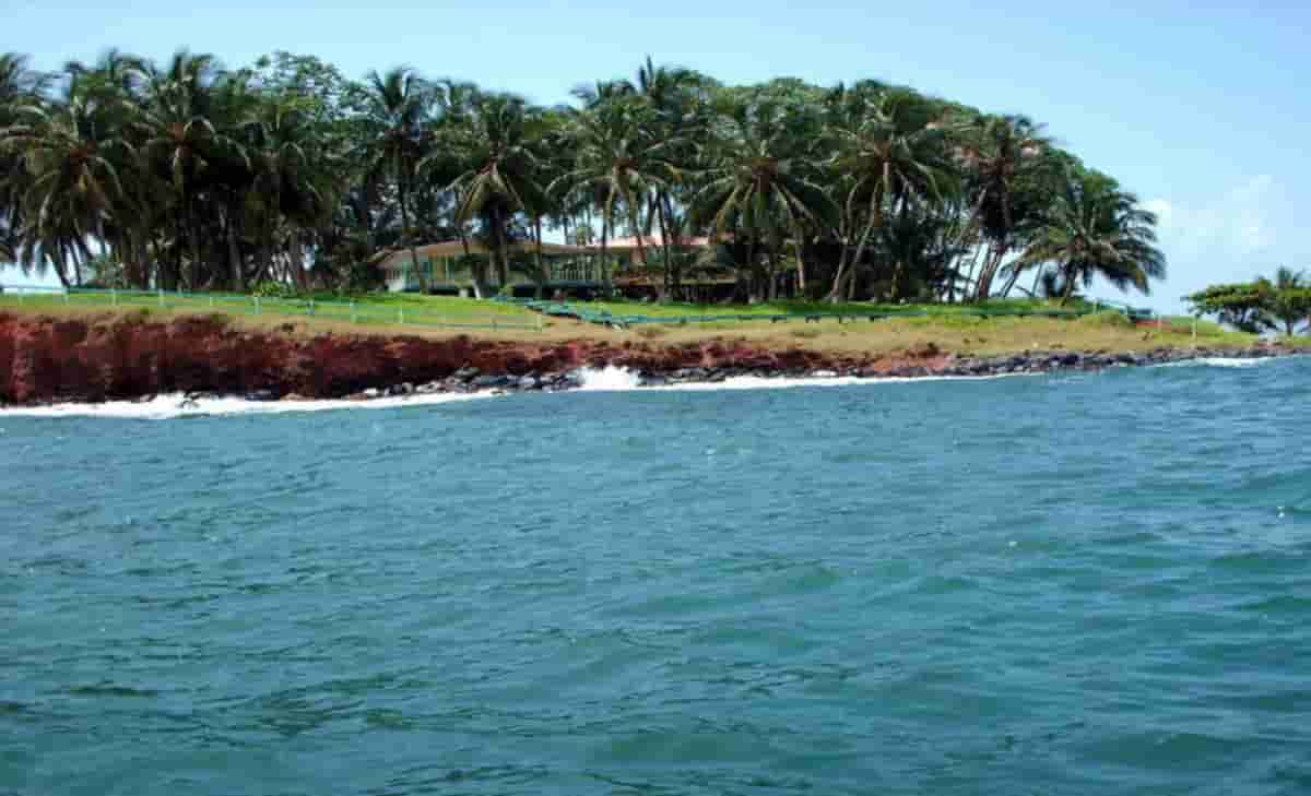 Wild Cane Key