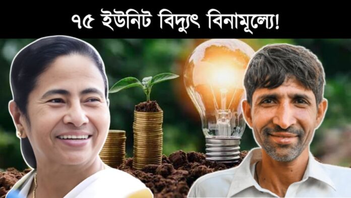 Hasir Alo Scheme | free electricity scheme