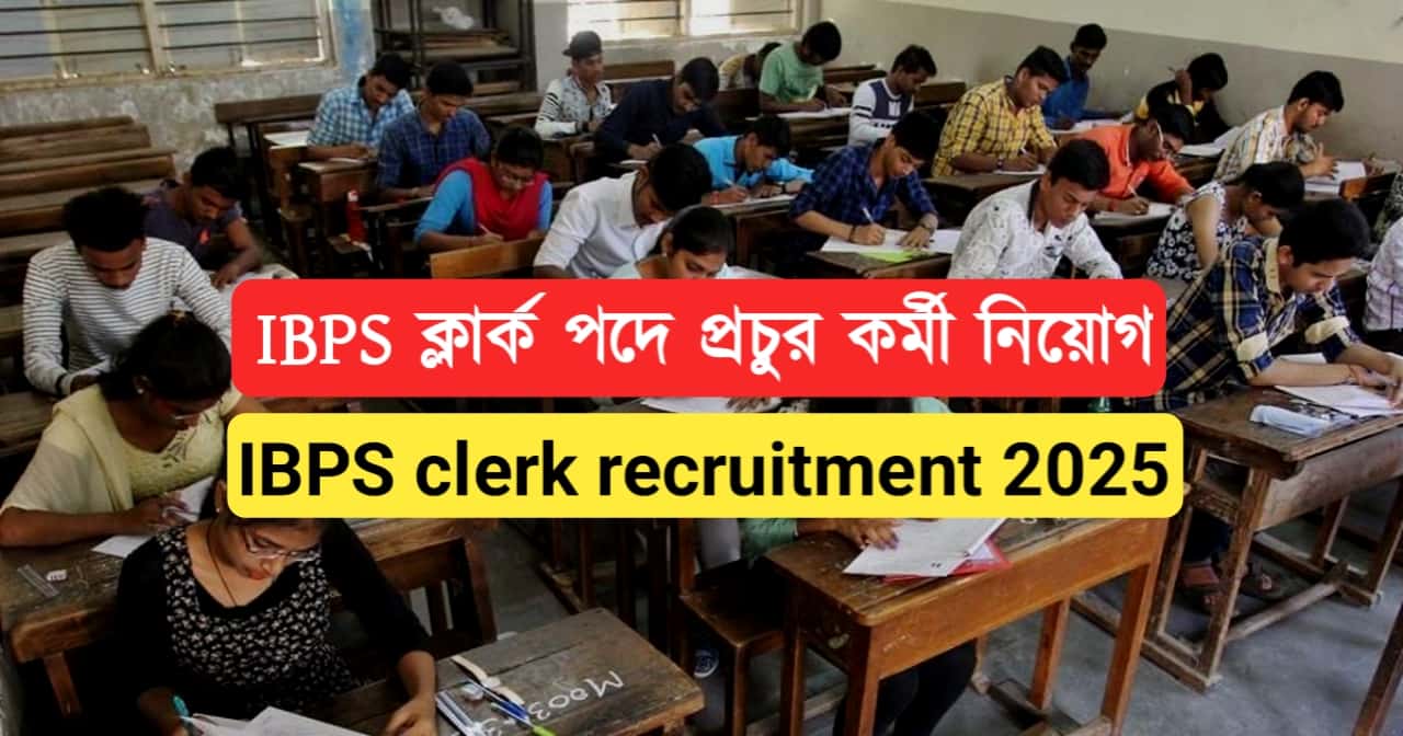 IBPS clerk recruitment 2025